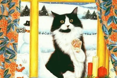 gato