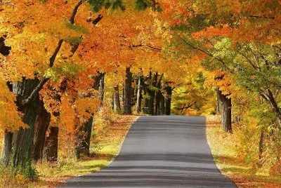 imagens jigsaw puzzle
