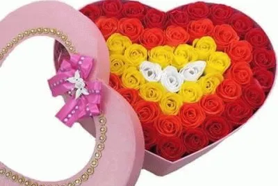 פאזל של imagens