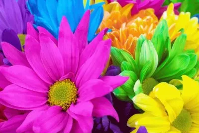 multicolor jigsaw puzzle
