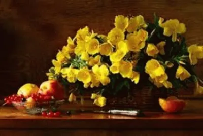 flores