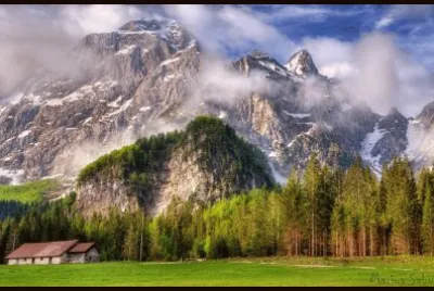 Marius Sabo Photography - 7307532-lg jigsaw puzzle