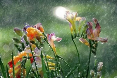 apr25 jigsaw puzzle
