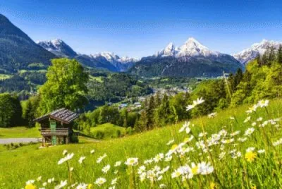apr26 jigsaw puzzle