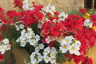 blanc et rouge