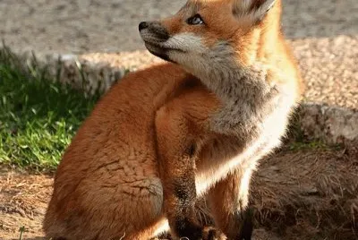 â˜º