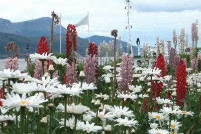 En Ushuaia. Tierra del Fuego. Argentina jigsaw puzzle