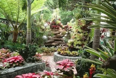 jardin venezolano