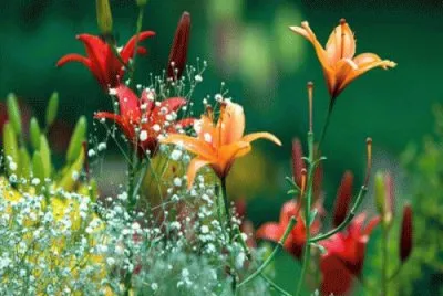 apr30 jigsaw puzzle