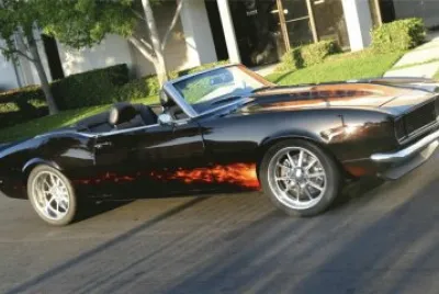 31
