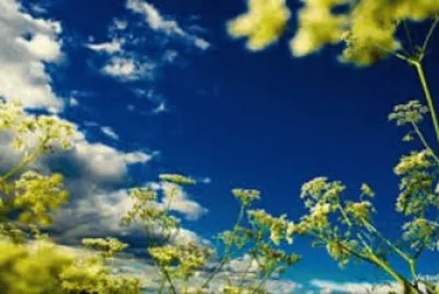 å¤©ç©º jigsaw puzzle