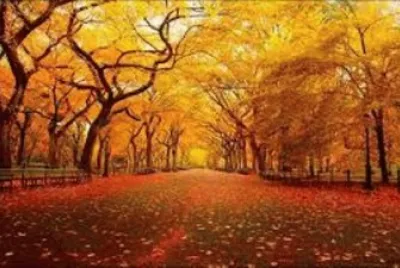 Paisaje jigsaw puzzle