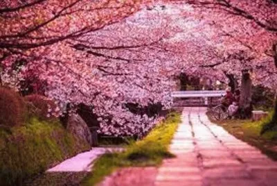 Paisaje jigsaw puzzle
