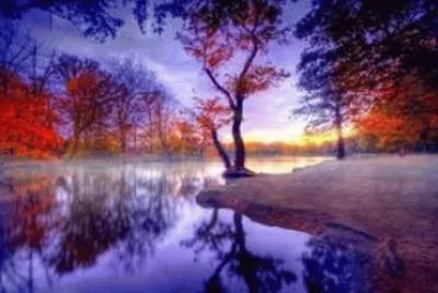Paisaje jigsaw puzzle