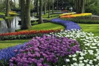Paisaje jigsaw puzzle