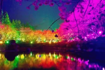 Paisaje jigsaw puzzle