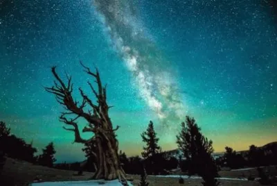 imagens jigsaw puzzle