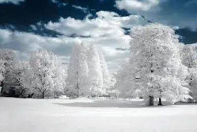 Paisaje jigsaw puzzle