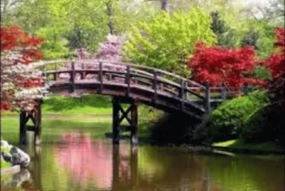 Paisaje jigsaw puzzle