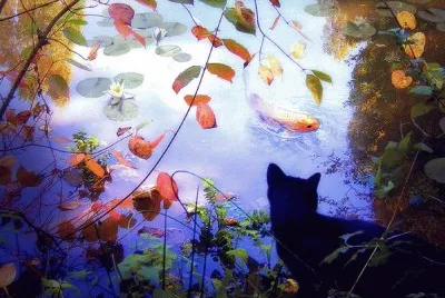 paisajes