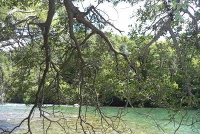 Lago GutiÃ©rrez. Provincia de RÃ­o Negro. Argentina jigsaw puzzle