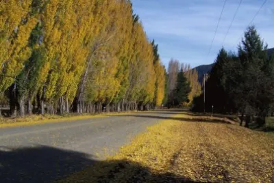 Camino a Lago Puelo jigsaw puzzle