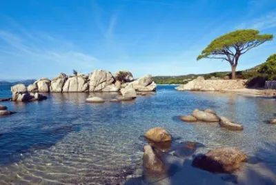 Playa jigsaw puzzle