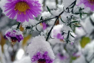 imagens jigsaw puzzle