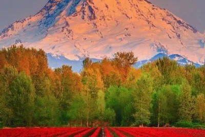 imagens jigsaw puzzle