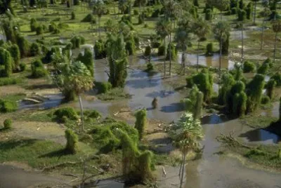 PN RÃ­o Pilcomayo. Formosa. Argentina jigsaw puzzle
