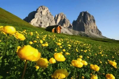 NATUREZA jigsaw puzzle