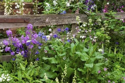 Pretty Spring Flower Garden jigsaw puzzle