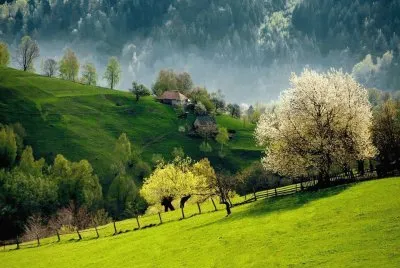 imagens jigsaw puzzle