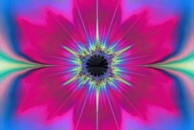 Floral Desigh