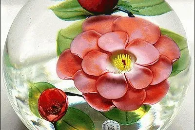 Paperweight