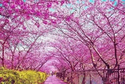 imagens jigsaw puzzle