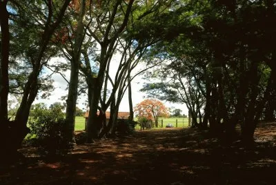 estancia jigsaw puzzle