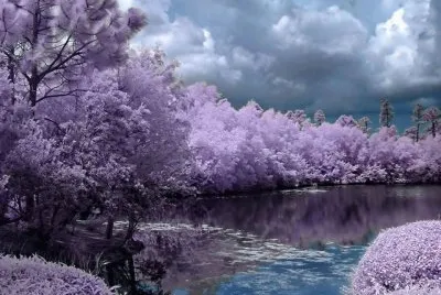 imagens jigsaw puzzle