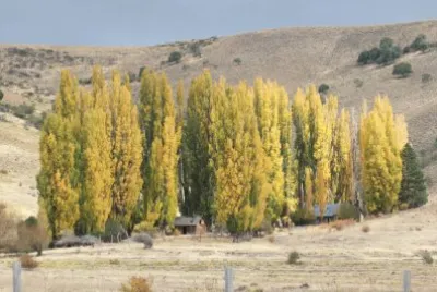 Cerca de JunÃ­n de los Andes. NeuquÃ©n. Argentina jigsaw puzzle