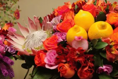 Flores