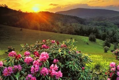 Paisagem jigsaw puzzle