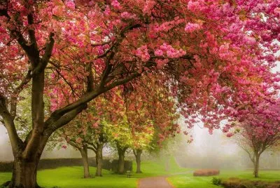 imagens jigsaw puzzle