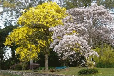 imagens jigsaw puzzle