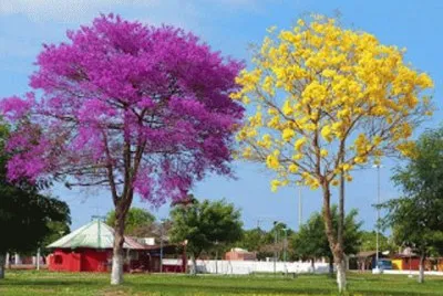 imagens jigsaw puzzle