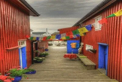 Red Walls and Tissues jigsaw puzzle