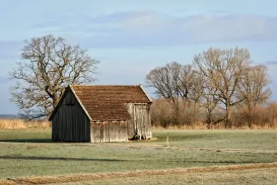 Country Scene