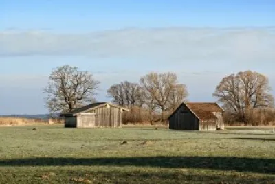 Country Scene