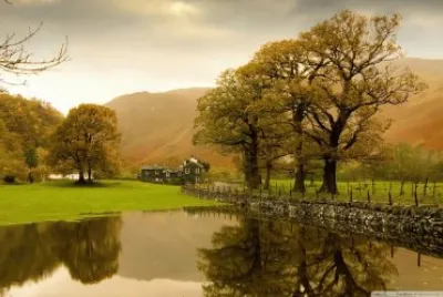 Country Scene
