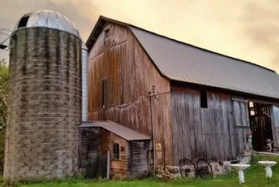 Country Scene