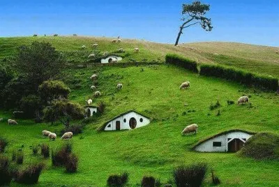 hobbit house